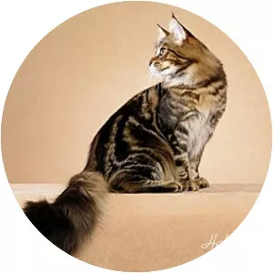 Adderfang photograph