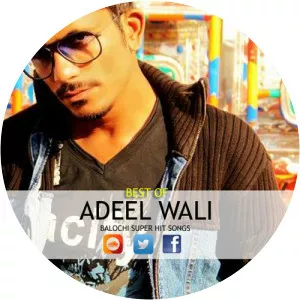 Adeel Wali Raees - 