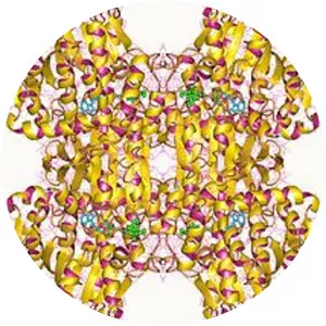 Adenosylhomocysteinase - Chemical compound