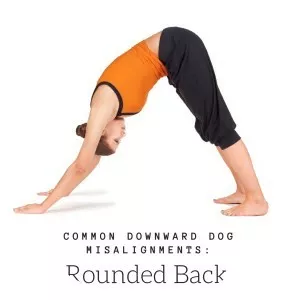 Adho mukha svanasana photograph