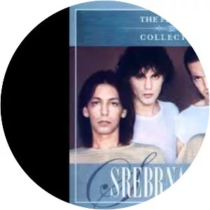 Adi Karaselimović - Musical artist