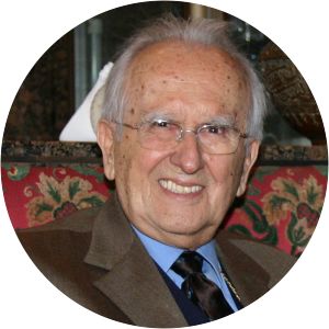 Adil Zulfikarpašić