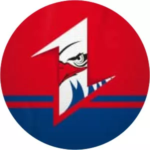 Adler Mannheim