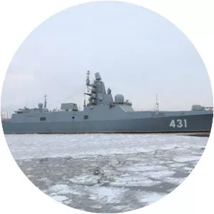 Admiral Gorshkov-class frigate - Class of vessel