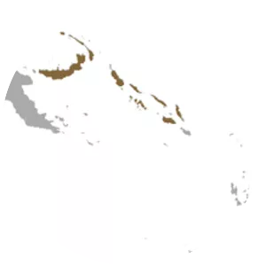 Admiralty flying fox