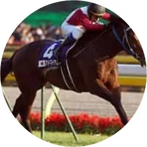 Admire Moon photograph