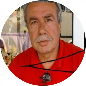 Adnan Tok - TV character