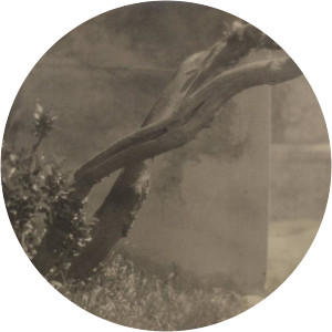 Adolf Schneeberger - Photographer