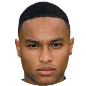 Adreano van den Driest