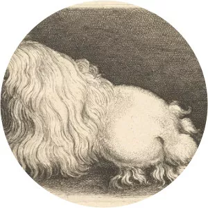 Adriaen Matham