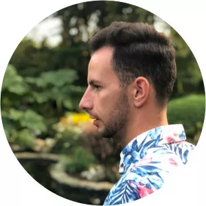 Adrian Stere - Musical artist