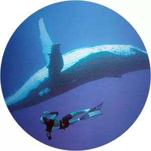 Adventure Ocean Quest2011