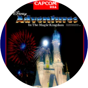 Adventures in the Magic Kingdom