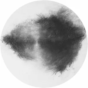 Advisory Committee - Album by Mirah