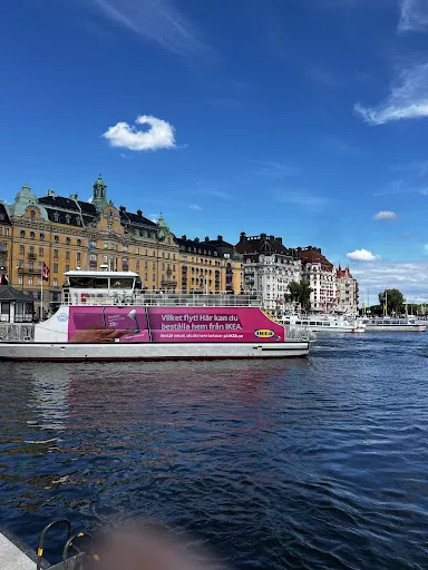 Advokatfirman Allians