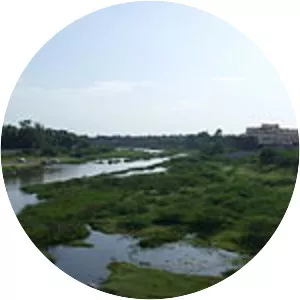 Adyar River