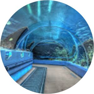 Aeck Associates of Atlanta