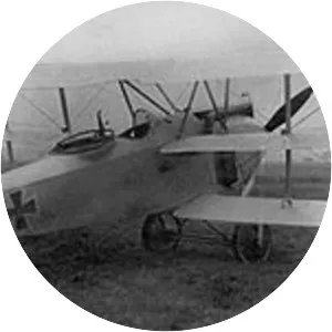 AEG C. VIII - Aircraft model