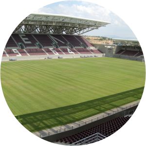AEL F.C. Arena