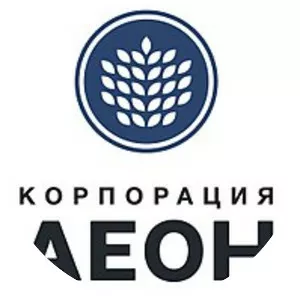 AEON Corporation