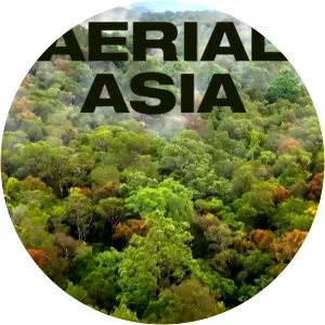 Aerial AsiaSince 2017