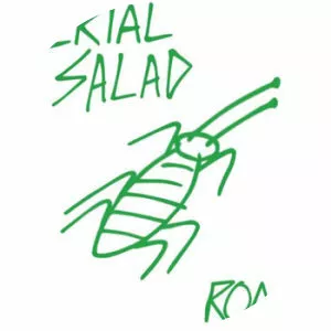 Aerial Salad - Musical artist