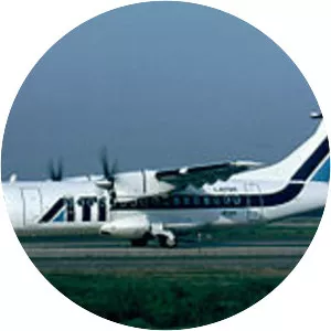 Aero Trasporti Italiani Flight 460 - Plane crash