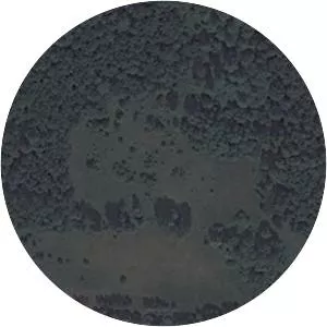 Aeroflot Flight 8641 - Airliner accident