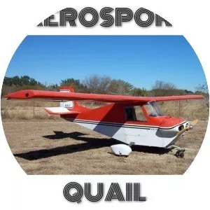 Aerosport Quail