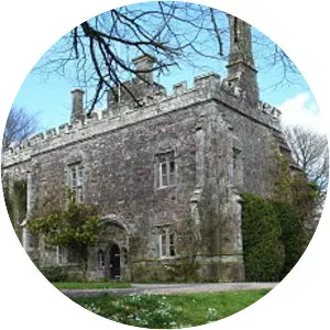 Affeton Castle - 