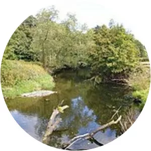 Afon Tanat - River in the United Kingdom