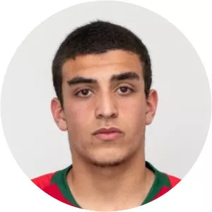 Afonso Bento Martins Jesus Peixoto