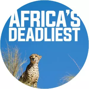 Africa's Deadliest