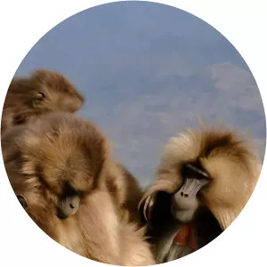 Africa's Hidden WondersSince 2020