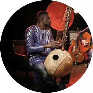 African Variations - Musical artist