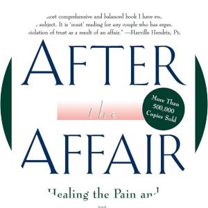 After the Affair - Book by Janis A. Spring
