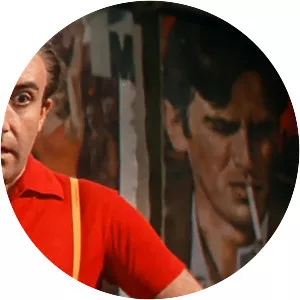 After the Fox - 1966 ‧ Crime/Farce ‧ 1h 43m