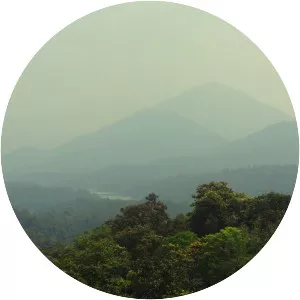 Agasthyamala Biosphere Reserve - 