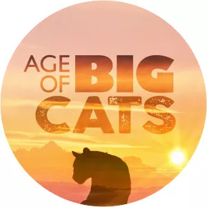 Age of Big Cats