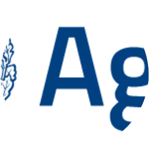 Agency for Digital Italy