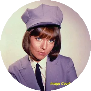 Agent 99 - Fictional character