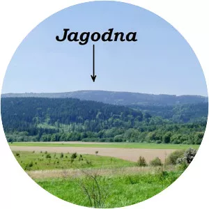 Agodna - 