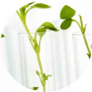 Agricultural chemistry