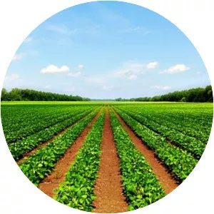 Agricultural land photograph