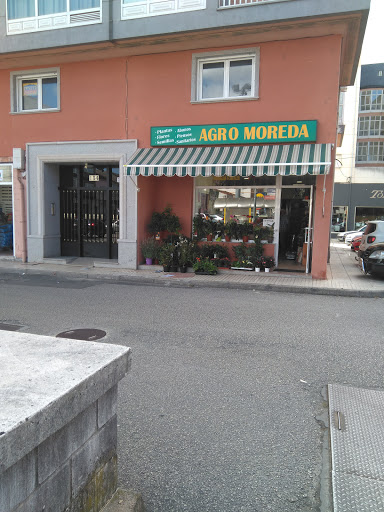 Agro Moreda - Florist in Monforte de Lemos, Spain