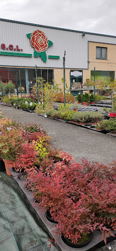 Agroflor S.L. - Florist in Naron, Spain