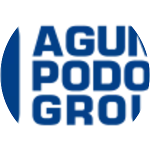 Agung Podomoro Group