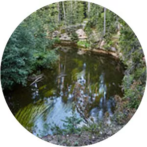 Ahja River - River in Estonia