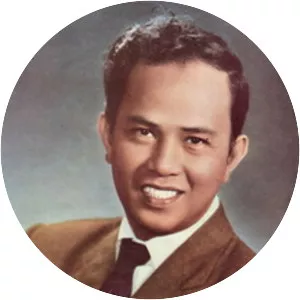 Ahmad Mahmud - Actor