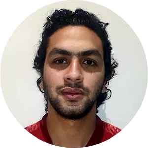 Ahmed Loutfi Khairi Mansour